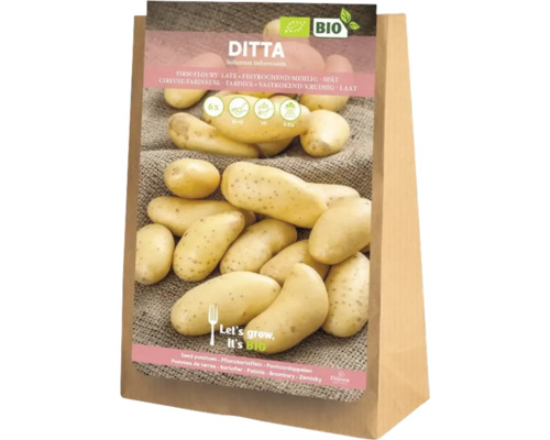 Sadbové brambory Ditta v pětikilovém pytli