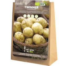 Sadbové brambory Twinner, pevné, 5 kilogramů