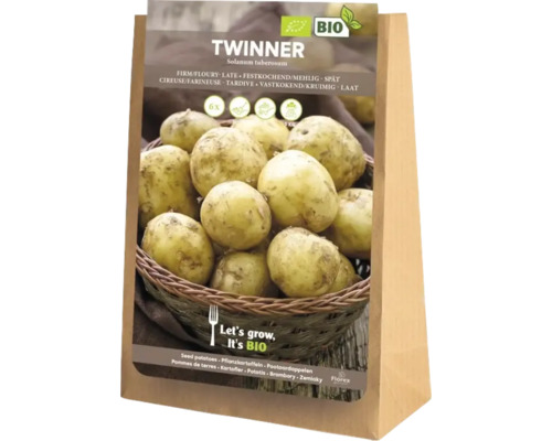 Bio sadbové brambory 'Twinner' 6 kusů, voskovité Sadbové brambory Twinner, pevné, 5 kilogramů