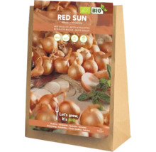 Květinové cibule červené šalotky v papírovém sáčku