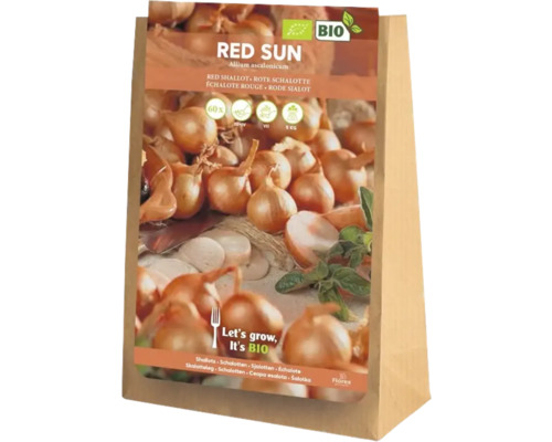 Bio šalotka červená 'Red Sun' 6 kusů Květinové cibule červené šalotky v papírovém sáčku