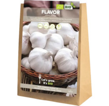 Sáček semen česneku odrůdy Flavor Allium sativum