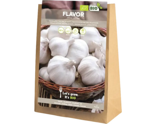 Sáček semen česneku odrůdy Flavor Allium sativum