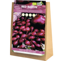 Sazečka zimní cibule Red Baron v papírovém sáčku