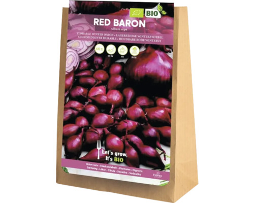 Sady červené cibule 'Red Baron' 40 kusů Sazečka zimní cibule Red Baron v papírovém sáčku