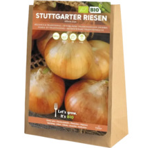 Sazečka cibule Stuttgarter Riesen v papírovém sáčku