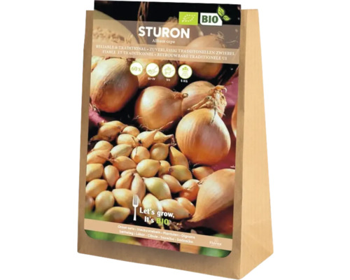 Balení sazečky cibule Sturon