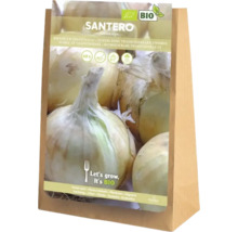 Sazečka cibule Santero, certifikovaná bio, balení po 60 kusech