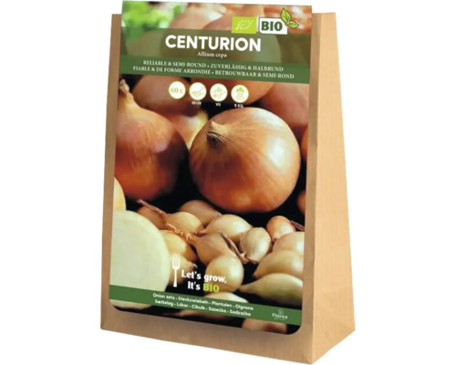 Balení cibule Centurion, Allium cepa, organická kvalita