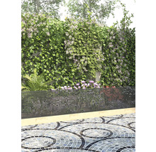 Zahrada s porostem, kovovým plotem a mozaikovou dlažbou