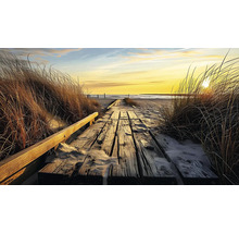 Dřevěný chodník vedoucí přes duny k pláži při západu slunce