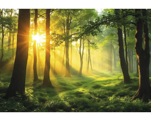 Obraz Decopanel ART-L 60 x 100 cm Sluncem zalitý les se stromy a zelenou vegetací.