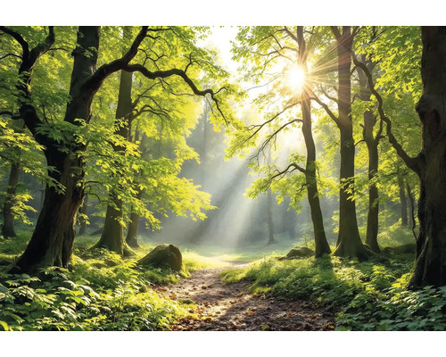 Obraz Decopanel ART-L 60 x 80 cm Cesta slunným lesem s listnatými stromy