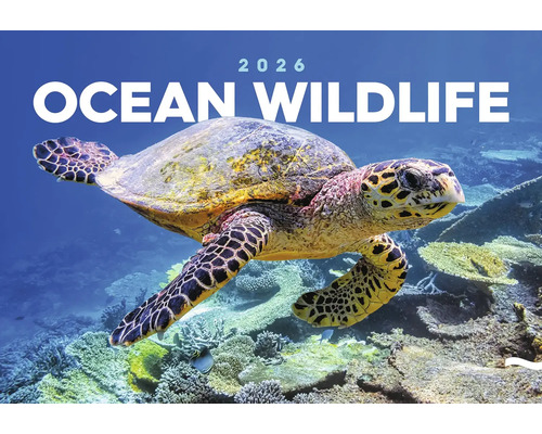Nástěnný kalendář Podmořský svět 2026 Kalendář oceánské divoké zvěře 2026 s mořskou želvou pod vodou