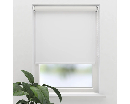 Bílá roleta v okně s řetízkovým ovládáním a rostlinou