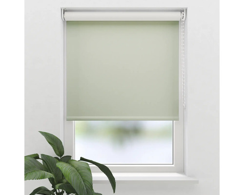 Zelená okenní roleta pro zastínění a soukromí