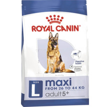 Royal Canin Maxi Adult 5+ suché krmivo pro psy pro psy o hmotnosti 26 až 44 kilogramů