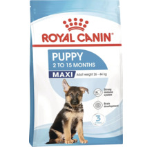 Krmivo pro štěňata Royal Canin Puppy Maxi pro štěňata od 2 do 15 měsíců s hmotností 26 až 44 kilogramů.