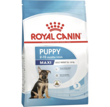 Krmivo pro štěňata Royal Canin pro psy velkých plemen o hmotnosti 26 až 44 kilogramů v dospělosti