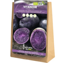 Vitanoir sadbové brambory v pytli