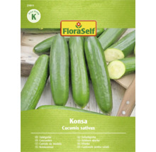 Salátová okurka odrůdy Konsa, Cucumis sativus, od FloraSelf