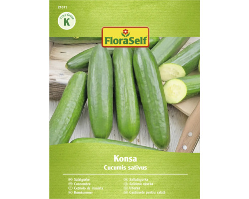 Salátová okurka odrůdy Konsa, Cucumis sativus, od FloraSelf