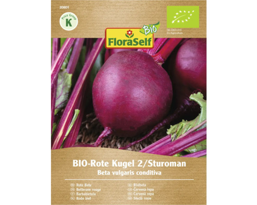 Červená řepa FloraSelf Bio Ball 2 / Sturoman Balení semen bio červené řepy Kugel 2 Sturoman
