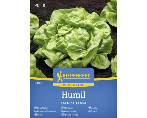 Semena hlávkového salátu Kiepenkerl Humil