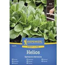 Kiepenkerl Profi-Line Helios balíček semen špenátu