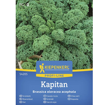 Kiepenkerl Kapitan Kapusta semínka