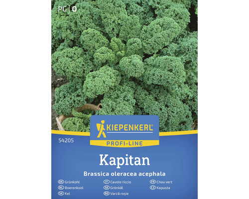 Kiepenkerl Kapitan Kapusta semínka