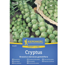 Semena růžičkové kapusty Kiepenkerl Cryptus