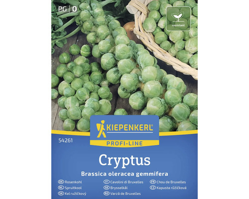 Semena růžičkové kapusty Kiepenkerl Cryptus