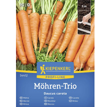 Semena mrkve značky Kiepenkerl