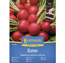 Kiepenkerl Profi-Line Ředkvičky Ester balení semen