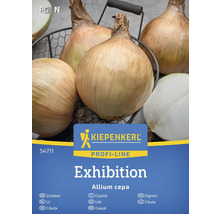 Výstavní cibule Kiepenkerl v košíku