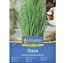 Kiepenkerl Staro pažitka rostlina v květináči