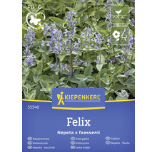 Kiepenkerl Felix Šanta, Nepeta x faassenii