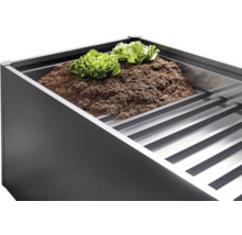 Vyvýšený záhon se zeminou a salátem