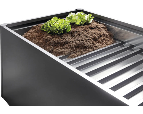 Vyvýšený záhon se zeminou a salátem