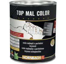 Nádoba s barvou Top Mal Color