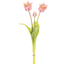 Kytice tulipánů se třemi květy a zelenými listy