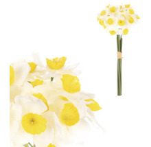 Kytice narcisek s bílými okvětními lístky a žlutým středem