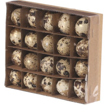 Dekorativní křepelčí vejce v kartonové krabici pro sezónní dekorace