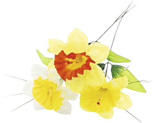 Květy narcisů s listy