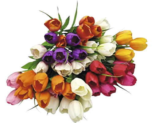 Kytice barevných tulipánů