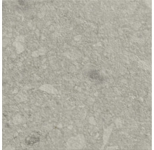 Šedá dlažba s tečkovaným povrchem