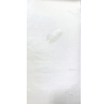 Tapeta se vzorem peří a květin