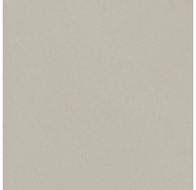 Jednobarevná plocha