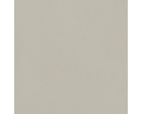 Jednobarevná plocha